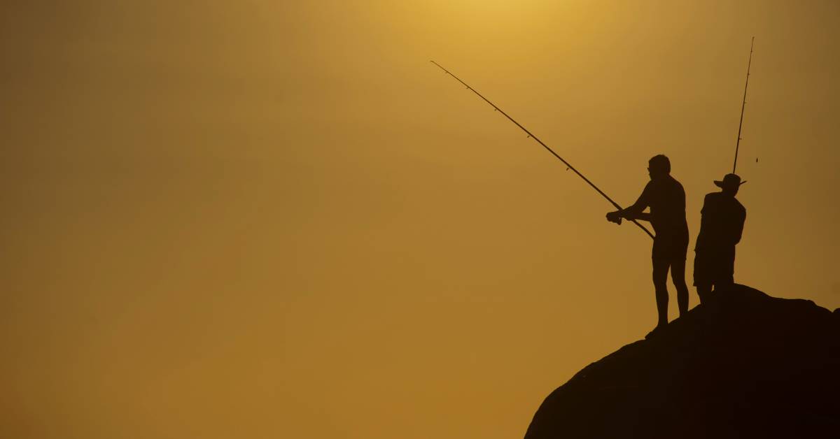 Fishing Rod (3)